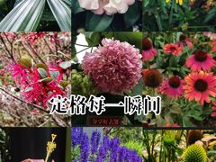 -云溪植物园