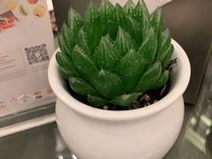 -上海滴水湖皇冠假日酒店