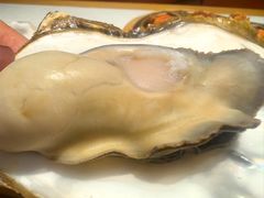 -杨氏青龙虾·羊蝎子(托乐嘉店)
