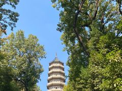 -灵谷景区
