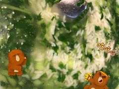 -川流不息(北蔡休闲广场店)