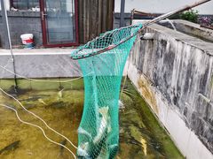 -钰田大院•怀柔本土菜(雁栖湖店)