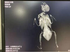-瑞派名望24h动物医院异宠专科·猫专科·骨科·重症监护分院