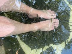 -昆明柏联SPA温泉
