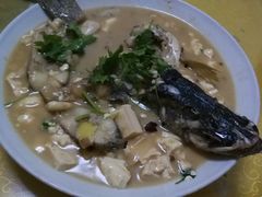 -煲来饱去冷水鱼
