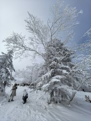 -大秃顶子山