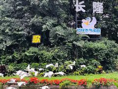 -广州长隆飞鸟乐园