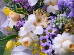 -花生FM_FLOWERS