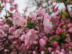 -苏州上方山国家森林公园