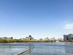 -莲花池公园