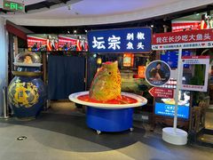 -坛宗剁椒鱼头(河西王府井店)