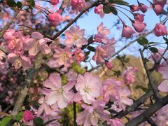 -花溪公园