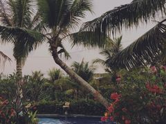 -味餐厅·海鲜·火锅·自助餐