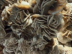 -甘肃地质博物馆