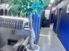 -鹿栖.精油SPA(金山世纪城店)