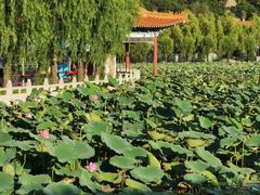 -南戴河国际娱乐中心