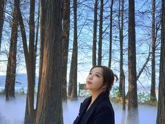 -东湖落雁景区