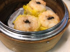 -糖朝(尖沙咀店)