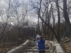 -阳台山自然风景区