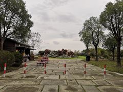 -上海海湾国家森林公园