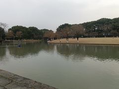 -上海方塔园
