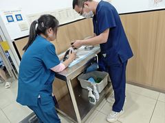 -米苏动物医院·犬猫专科·骨科外科内窥镜