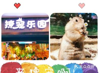 关于印发固原市严厉打击违法违规经营使用医疗器械专项整治工作实施方案的通知开元棋牌- 开元棋牌官网 - 开元棋牌APP下载