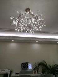 -VE专注问题肌·赛诺龙&科学美肤中心