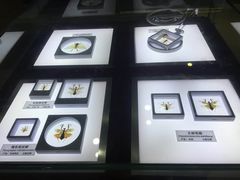 -上海昆虫博物馆