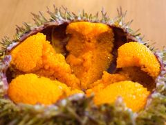 -海胆小馆(东北水饺·春柳店)