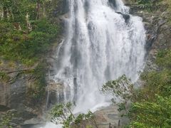 -海南热带雨林国家公园吊罗山景区