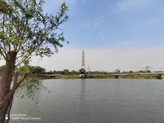 -王借岗森林公园
