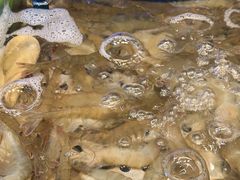 -领鲜活海鲜榴莲自助火锅(东门店)