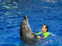 -多彩贵州城极地海洋世界