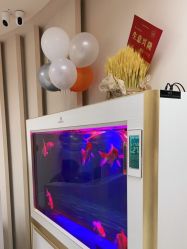 -苗方清颜•痘肌问题肌专研