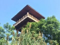 -张坝桂圆林公园