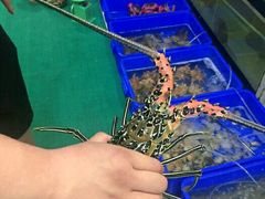 -QQ海鲜餐厅