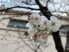 -同济大学-北苑食堂
