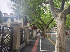 -村口大树(长乐路店)