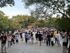 -紫金山山顶公园