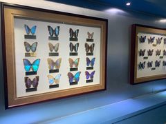 -上海昆虫博物馆