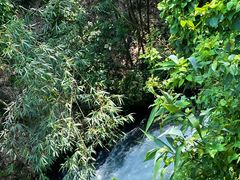 -清泉湾生态旅游度假区