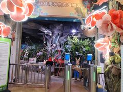 -正佳雨林生态植物园