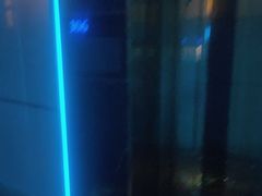 -温莎KTV(珠江路店)