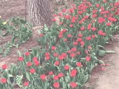 -长春公园(普阳街道)