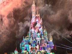 -辉旺烧鹅茶餐厅