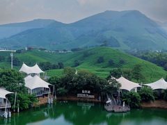 -帐篷客·溪龙茶谷度假酒店