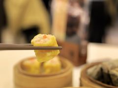 -富豪酒家(正大广场店)