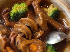 -新雅粤菜馆(南京东路店)