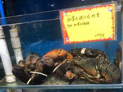 -蚝专家(北滘店)